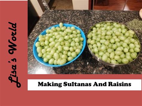 Sultana moisture meter|how to keep sultanas fresh.